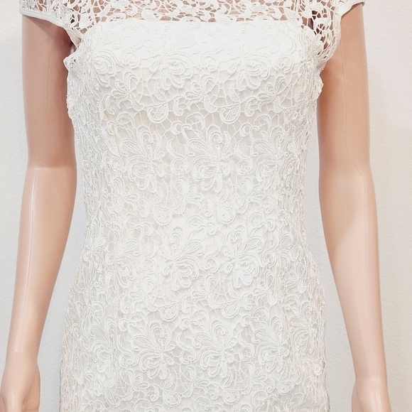 Adrianna PAPELLWhite Cap-Sleeve Illusion Lace Sheath Size 8 - Picture 4 of 16